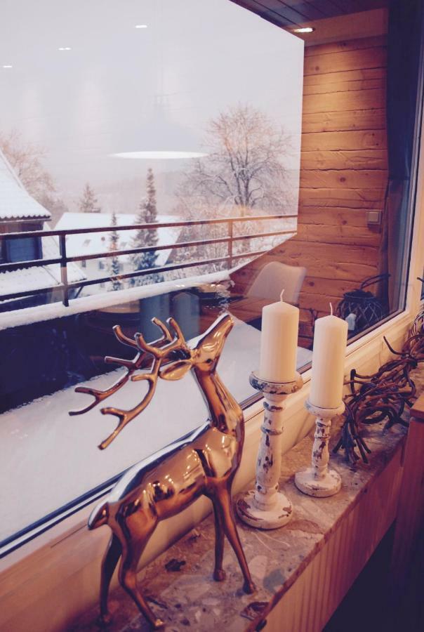 Chalet Am Hasselkopf Braunlage Dış mekan fotoğraf