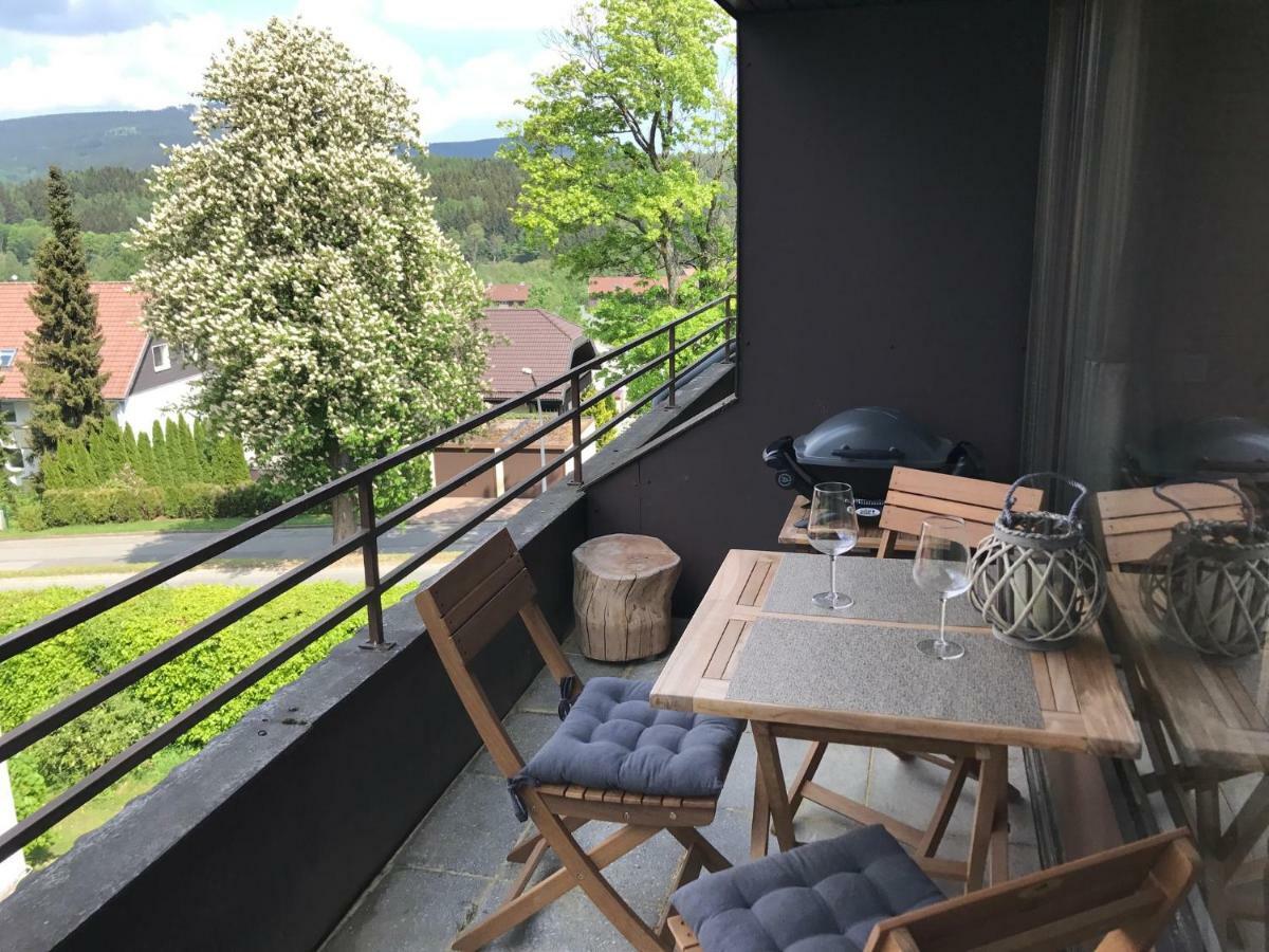 Chalet Am Hasselkopf Braunlage Dış mekan fotoğraf